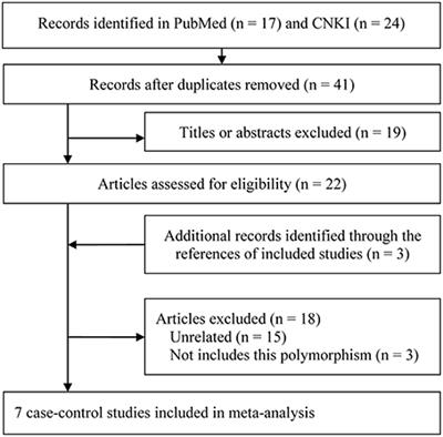 DEFB1 rs11362 Polymorphism and Risk of Chronic Periodontitis: A Meta-Analysis of Unadjusted and Adjusted Data